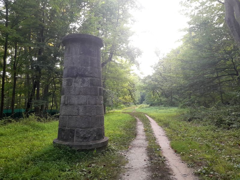 20250810_070705.jpg
