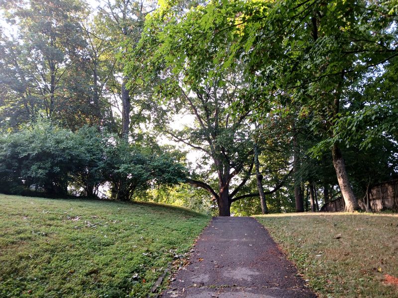 20250814_072057.jpg