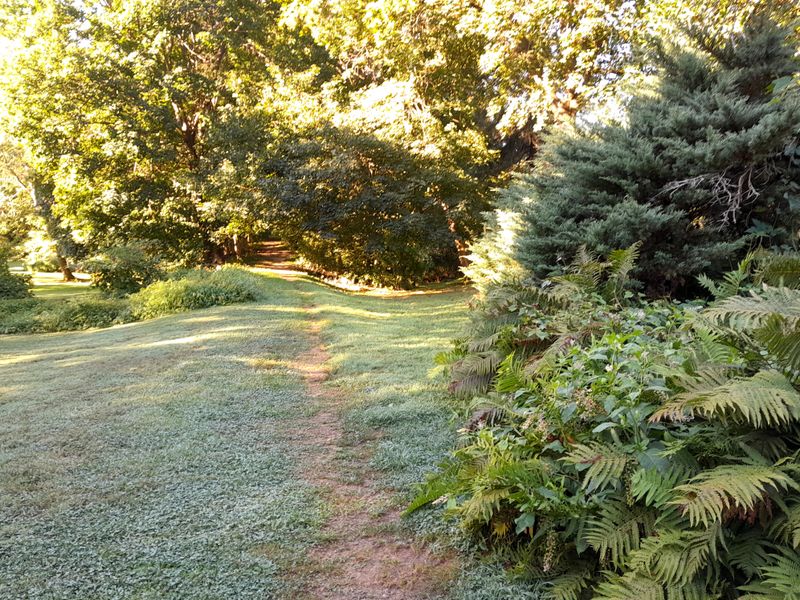 20250822_082429.jpg