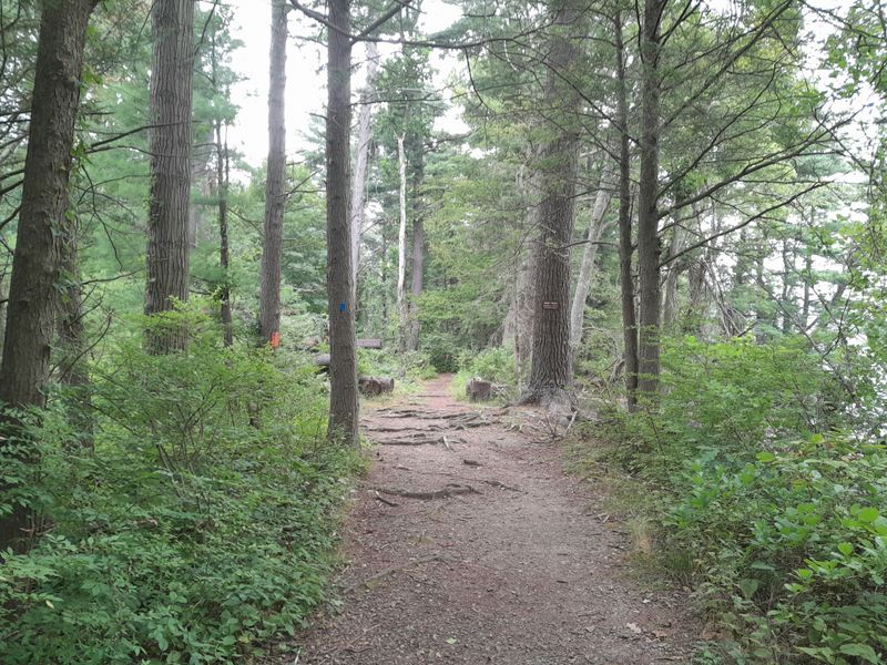 20250820_115044.jpg