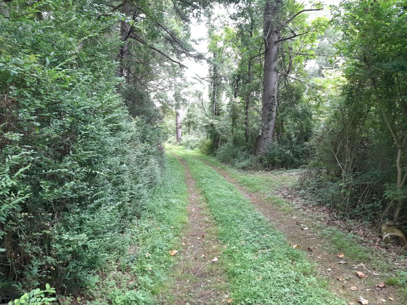 20250820_103431.jpg