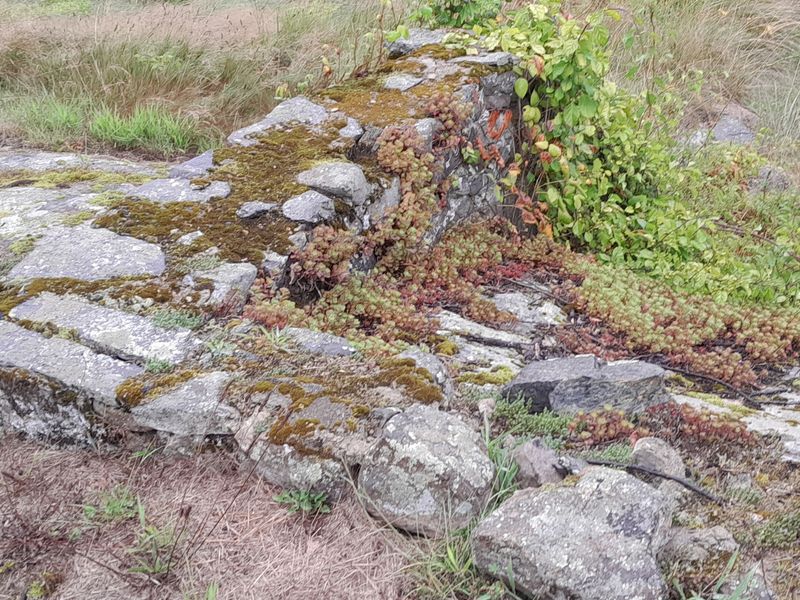 Sterling Forest Iron Furnace Ruins