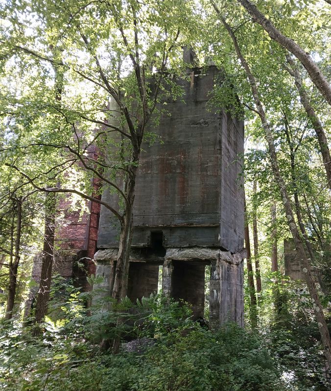 20250827_104134.jpg