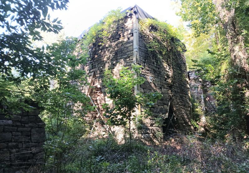 20250827_092903.jpg