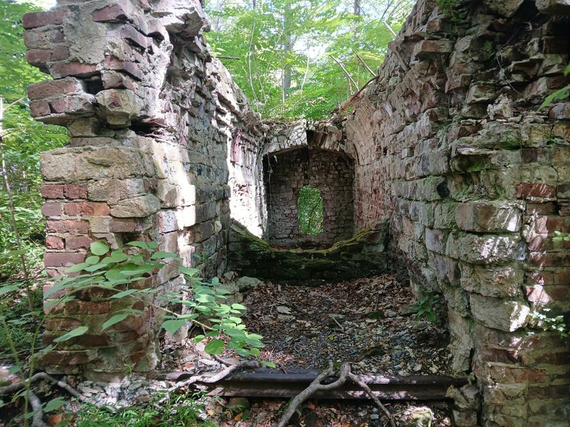20250827_105006.jpg