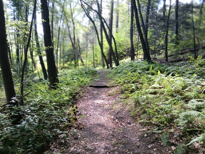 20250827_105232.jpg