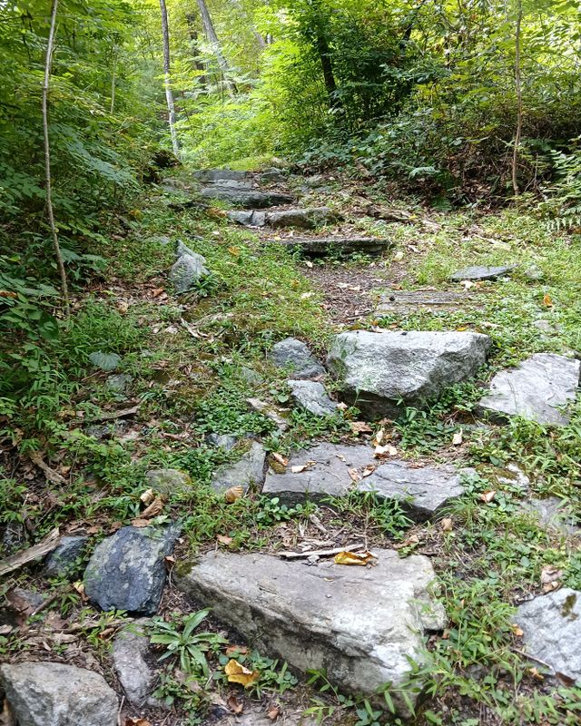 20250827_104226.jpg