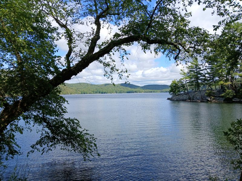 20250827_111136.jpg
