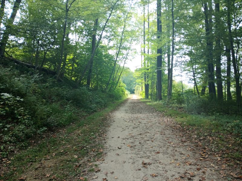 20250917_124554.jpg