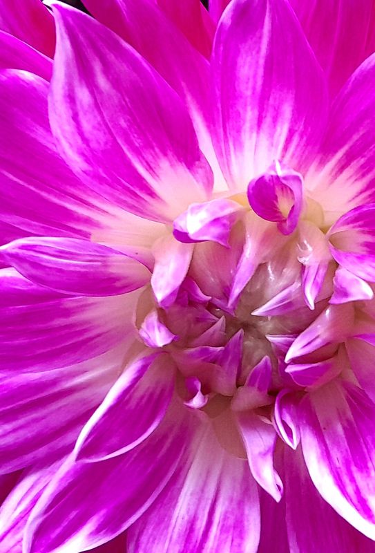 20250912_082845 - Copy.jpg