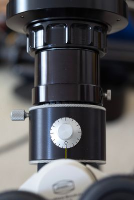 ER3Q2714.jpg