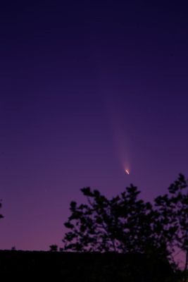 Comet C/2023 A3