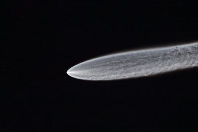 0T0A0478.jpg