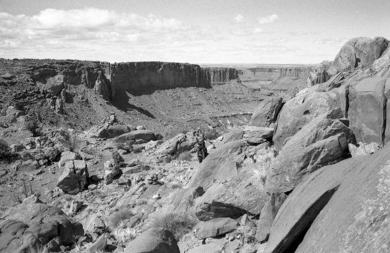 img141.jpg