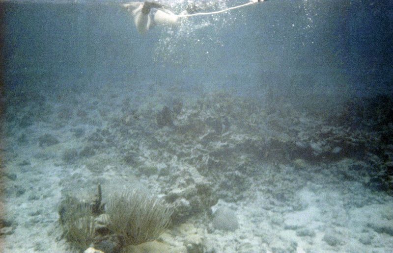 Buck Island Reef, early '90s