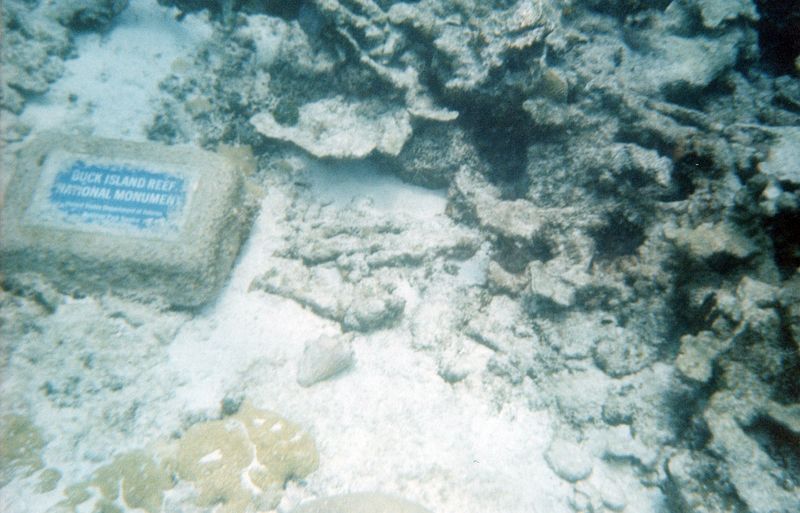 Buck Island Reef, early '90s