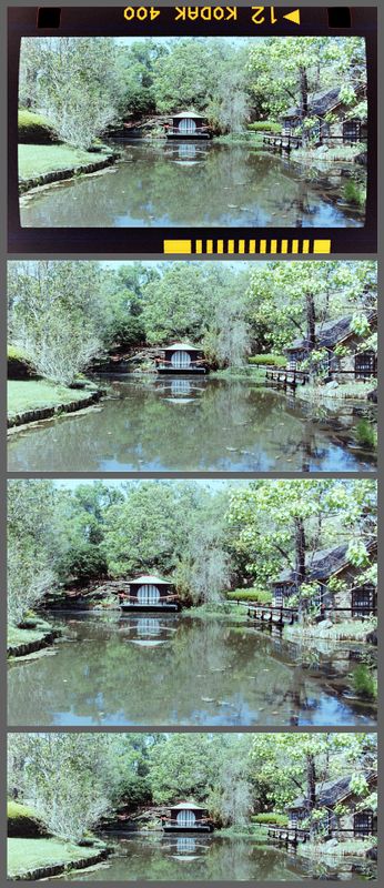 Personal Scans