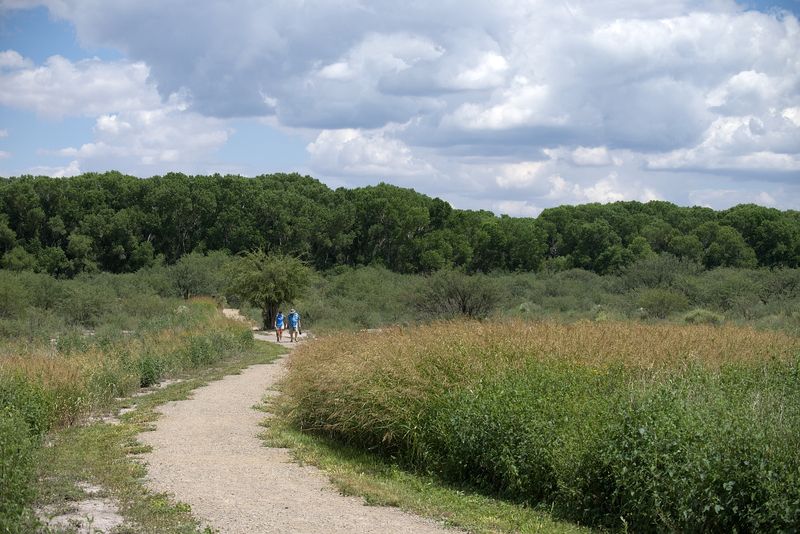 DSC_0021.jpg