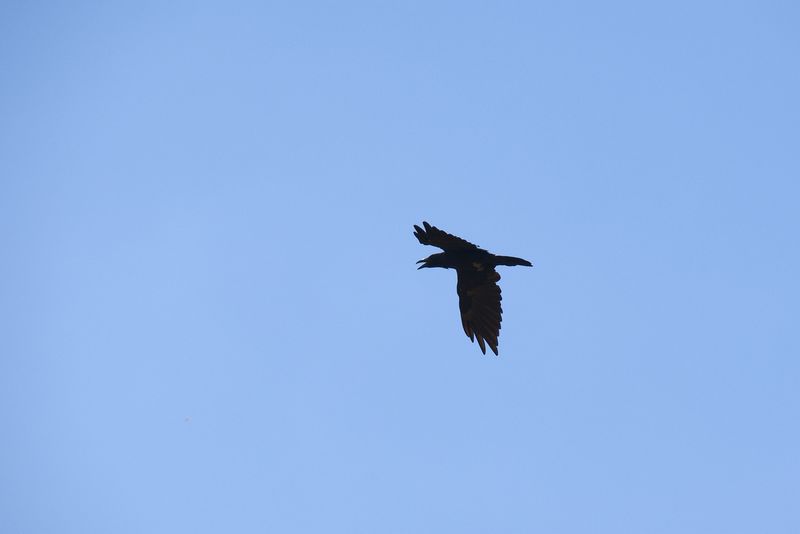 DSC_0279.jpg