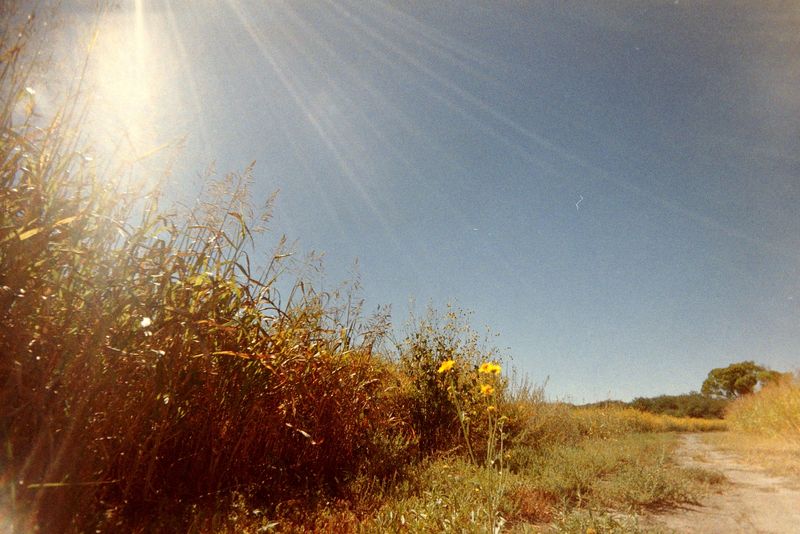 Scan_Fuji400_2024_10_004.jpg