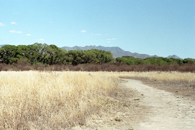 Scan_Fuji200_02_F3hp_85mm_2024_10_023.jpg