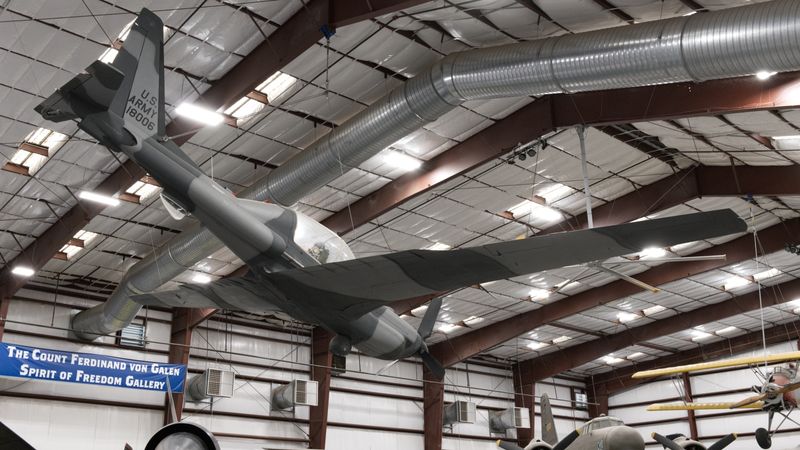 _Z630376.jpg