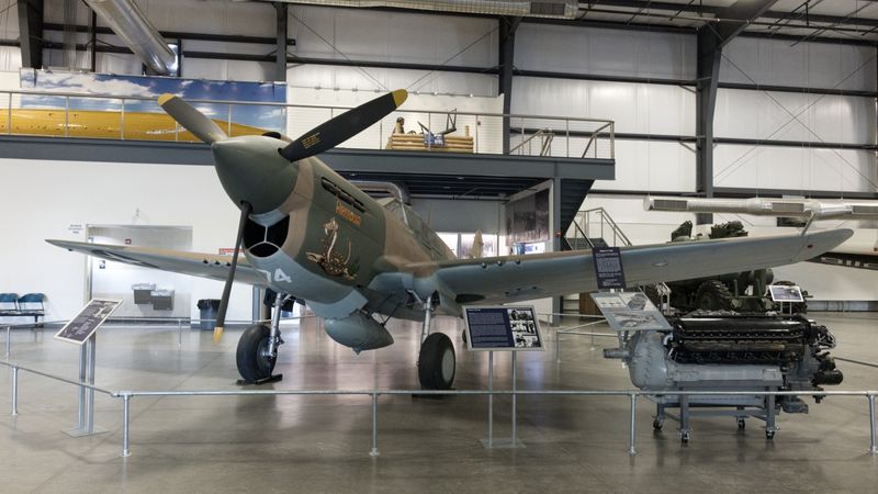 _Z630281.jpg