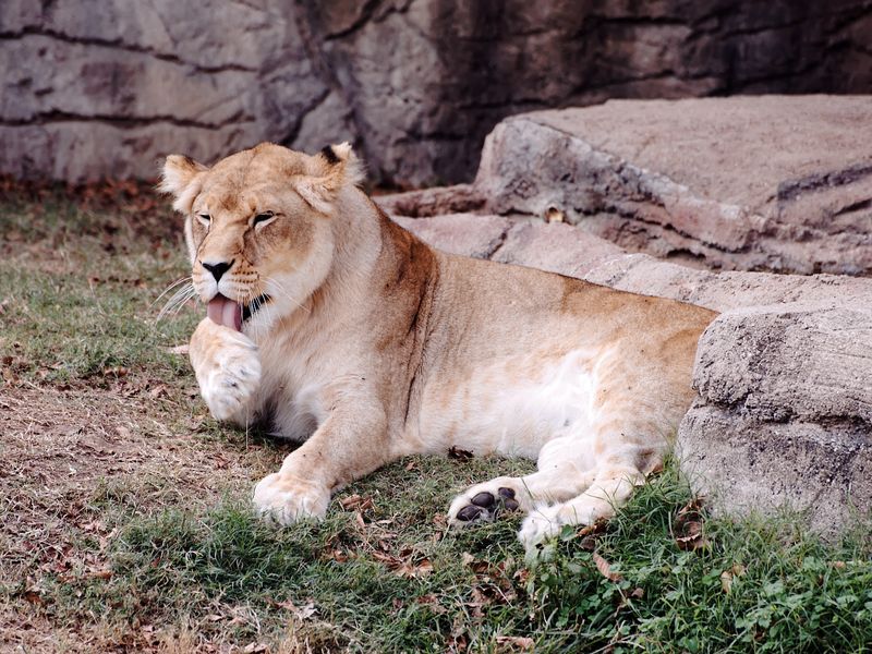 _DSC1867a_K64.jpg