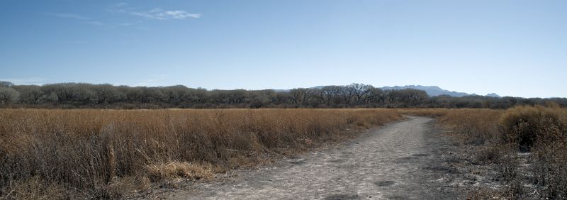_Z630529_6x17.jpg