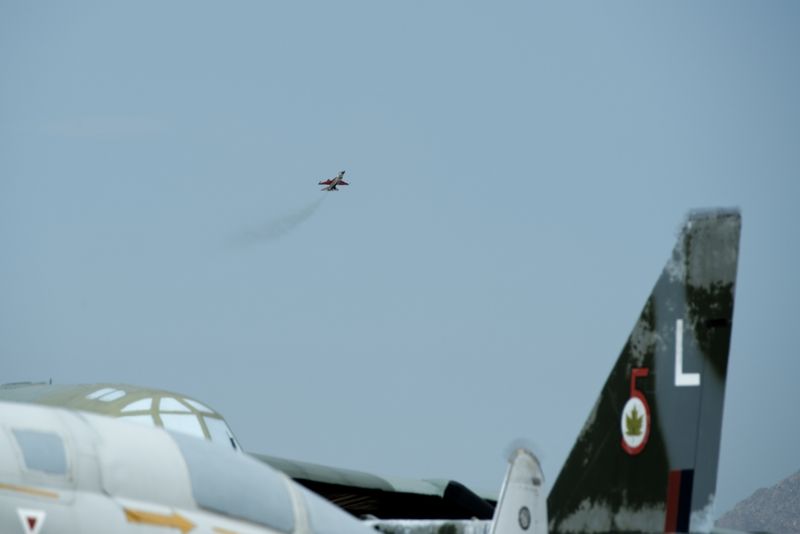 _Z632588.jpg