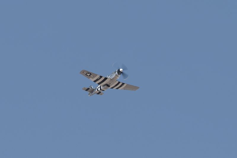 _Z632285.jpg