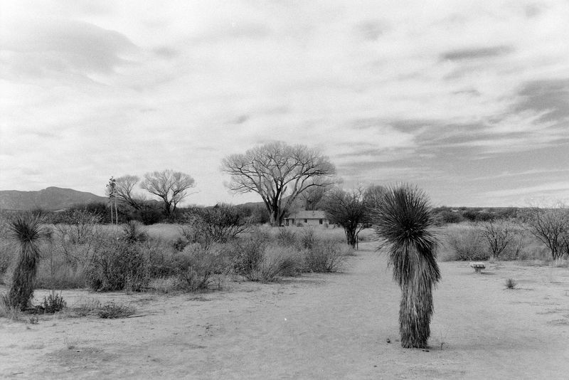 Scan_UltraPan400_2025_03_001.jpg