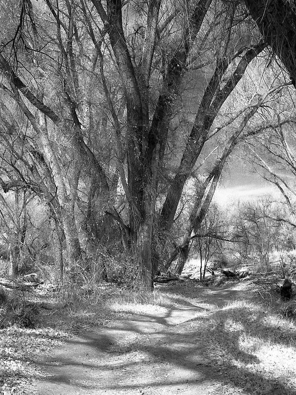 Scan_UltraPan400_2025_03_013.jpg