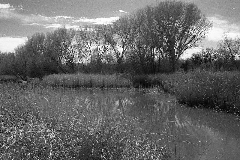 Scan_UltraPan400_2025_03_024.jpg