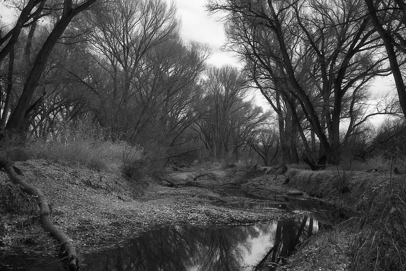 Scan_UltraPan400_2025_03_035.jpg