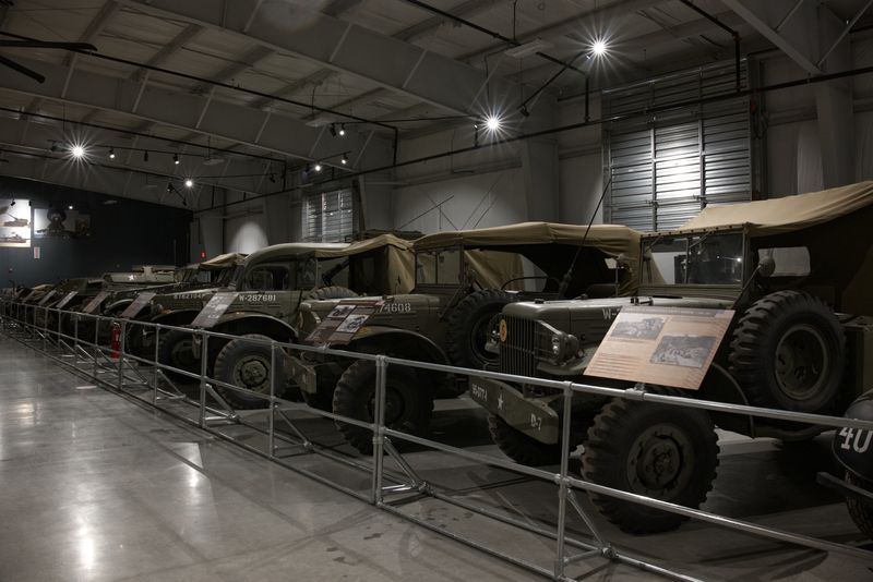 _Z632780.jpg