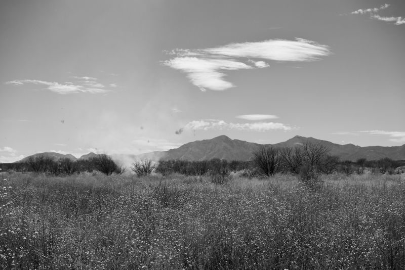 K33M0558.jpg