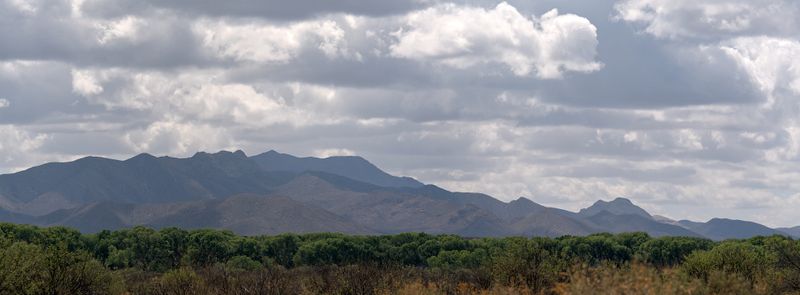 _Z634601pano.jpg