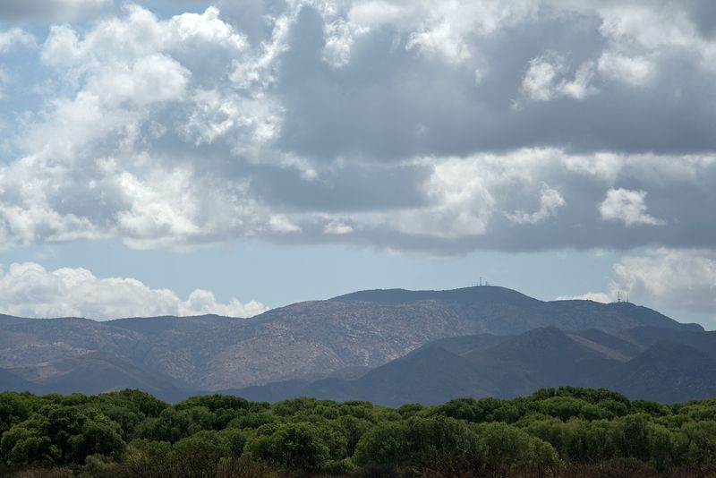 _Z634603.jpg