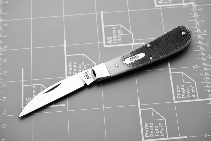 K33M0897 - Copy.jpg