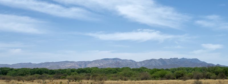 Z52_0469.jpg