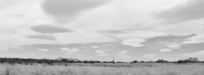San Pedro Riparian National Conservation Area