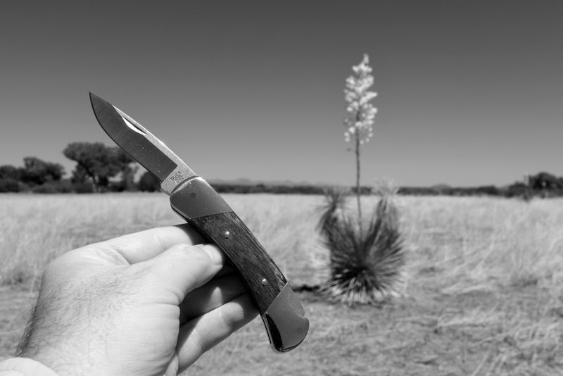 K33M1213 - Copy.jpg