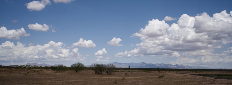 Arizona