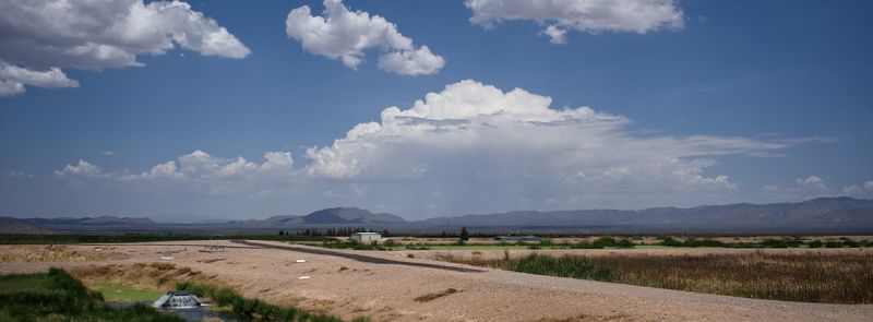 Arizona