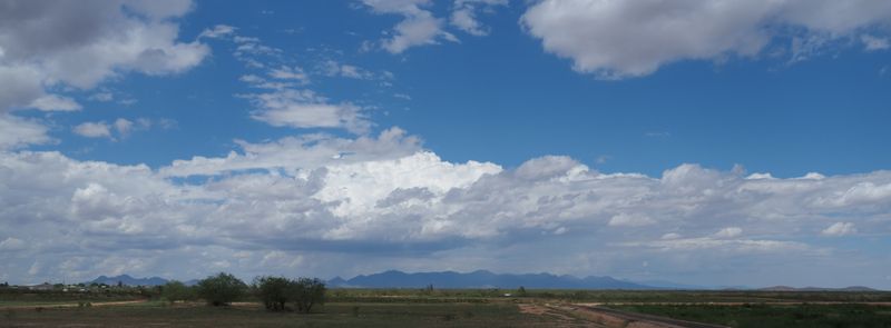 P8150179 (3).jpg