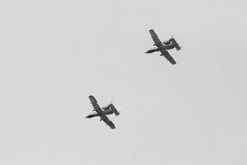 K33M2052.JPG