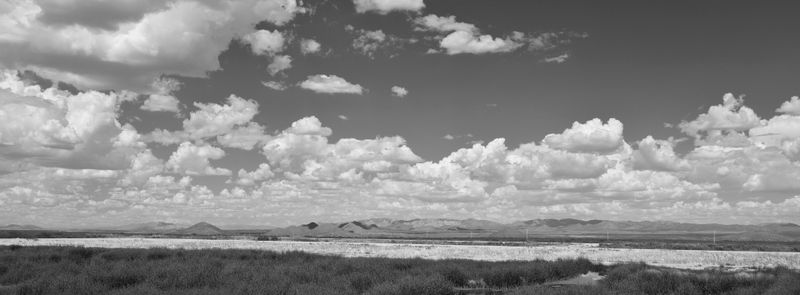 _K332166 - Copy.JPG