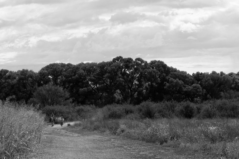 San Pedro Riparian National Conservation Area