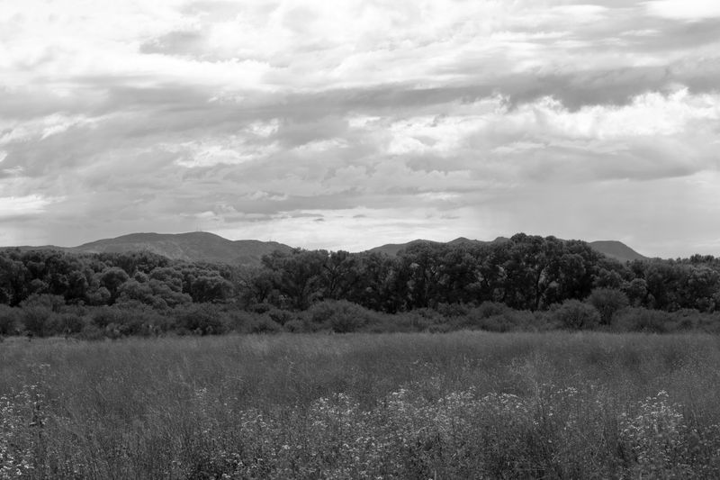 _K332215 - Copy.jpg